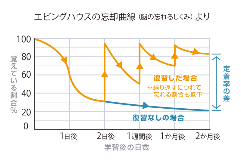 エビングハウスの忘却曲線